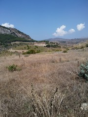 Temple Segesta