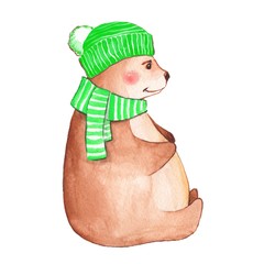 Bear in scarf. Watercolor illustration, isolated on white