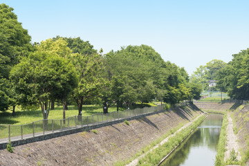Fototapeta na wymiar 神田川の支流の善福寺川（東京都杉並区）