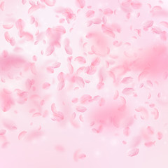 Sakura petals falling down. Romantic pink flowers gradient. Flying petals on pink square background.