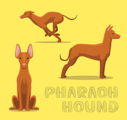 Dog Pharaoh Hound Cartoon Vector Illustration