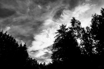 Sky Black and white