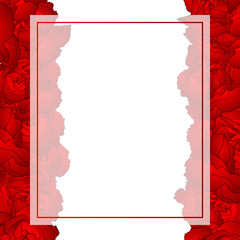 Red Carnation Flower Banner Card Border