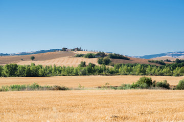 Fototapeta premium Summer landscape in Tuscany with ancient rural house and fields and trees, Italy, Europe.