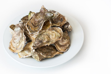 Fresh oysters. Raw fresh oysters on white round plate, image isolated, with soft focus. Restaurant delicacy. Saltwater oysters.