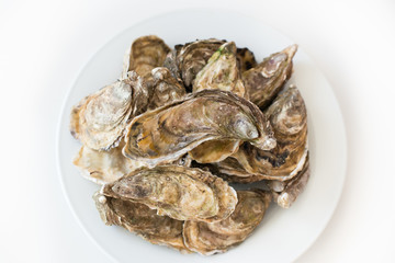 Fresh oysters. Raw fresh oysters on white round plate, image isolated, with soft focus. Restaurant delicacy. Saltwater oysters.