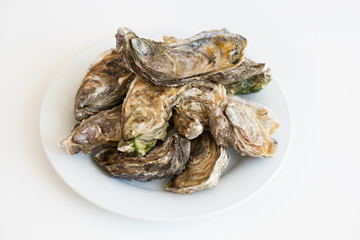 Fresh oysters. Raw fresh oysters on white round plate, image isolated, with soft focus. Restaurant delicacy. Saltwater oysters.