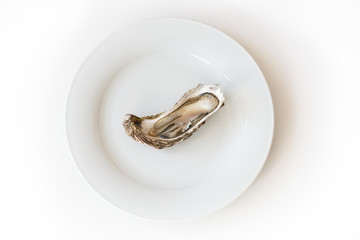 Fresh oyster. Raw fresh oyster is on white round plate, image isolated, with soft focus. Restaurant delicacy. Saltwater oyster.