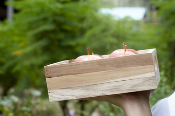 The hand of a woman holding wood box with apple and green nature background.