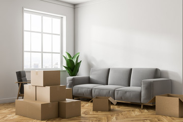 White living room corner with boxes