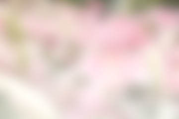 abstract nature color mix blur backgrund, color pink white green mix background