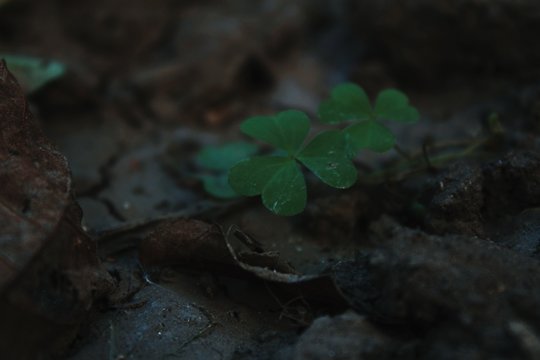 Processed with VSCO with c8 preset