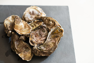Fresh oysters. Raw fresh oysters, image isolated, with soft focus. Restaurant delicacy. Saltwater oysters.