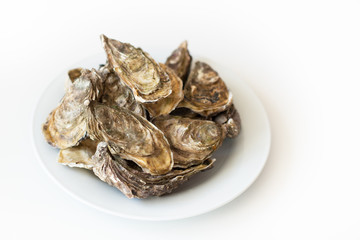Fresh oysters, image isolated, with soft focus. Restaurant delicacy. Saltwater oysters.