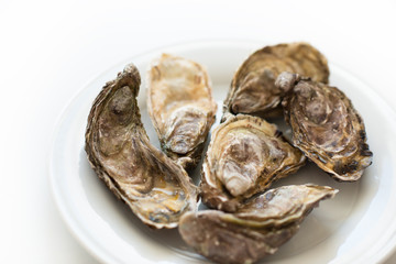 Fresh oysters. Raw fresh oysters on white round plate, image isolated, with soft focus. Restaurant delicacy. Saltwater oysters.