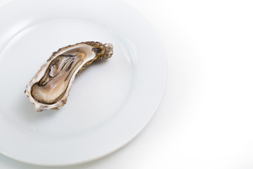 Fresh oyster. Raw fresh oyster is on white round plate, image isolated, with soft focus. Restaurant delicacy. Saltwater oyster.