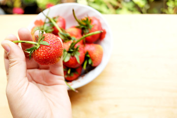 Woman hand holding fresh strawberry in green natural background.Copy space