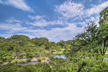 Lake surrounded by pines, maple and cherry trees under the blue sky in the garden of Rikugien in Tokyo in Japan.