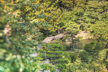Large stone bridge named Togetsu bridge on a pond under a big mapple tree in the garden of Rikugien in Tokyo in Japan.