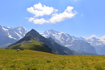 Fototapeta na wymiar Eiger, Mönch und Jungfrau im Berner Oberland 
