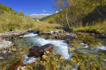Brook in mountains
