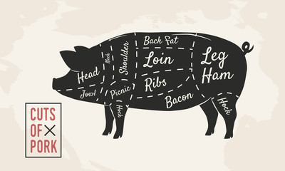 Cuts of Pork. Meat cuts. Butcher diagram. Vintage Poster. Vector illustration