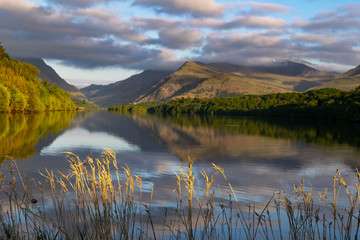 Pont Pen-y-llyn