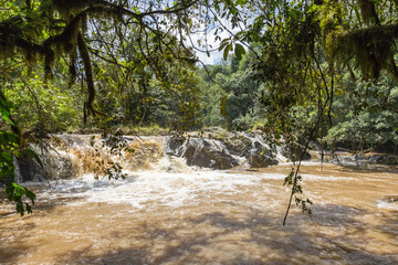Small rapids on the rivers in the jungles of Kakamega Forest. Kenya, Africa