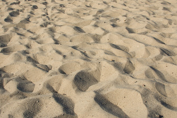 Beach sand texture. Background of sand.