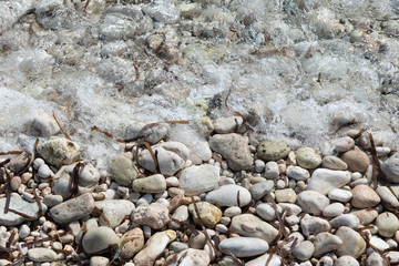 shore with stones