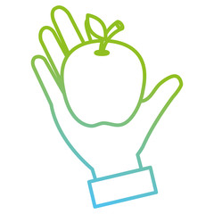 hand with apple fresh fruit