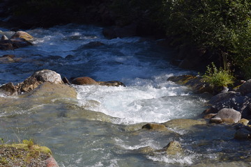 Fototapeta premium small river