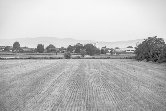 Campi Bianco e Nero