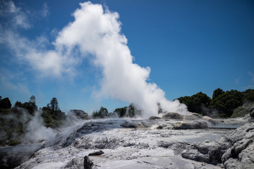 Pohutu geyser in New Zealand erupting