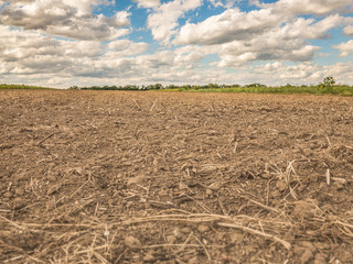 fallow brown agricultural field at great drought, dryness, disaster catastrophe in Germany in Europe no crops - obrazy, fototapety, plakaty