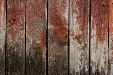 Old shabby exterior fence wooden wall painted in red