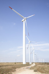 Fototapeta premium Wind Turbines at the Cape Kaliakra, Bulgaria