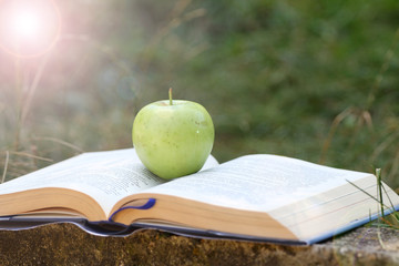Fresh green apple on an open book outdoor in the grass. Time for school. Learn and healthy food concept. Apple and a book. Open schoolbook. Open manual and fruit outdoor. Nature and education. 