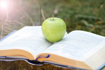 Fresh green apple on an open book outdoor in the grass. Time for school. Learn and healthy food concept. Apple and a book. Open schoolbook. Open manual and fruit outdoor. Nature and education. 