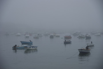 Naklejka premium Misty Harbour