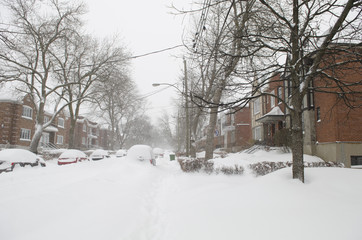 Journée enneigée dans un quartier résidentiel de Montréal