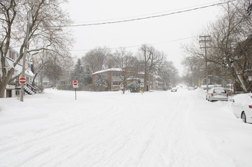 Fototapeta na wymiar Journée enneigée dans un quartier résidentiel de Montréal