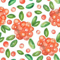 seamless pattern of watercolor cranberries