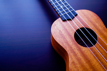 Obraz premium Ukulele, Hawaiian Guitar on the black board 2