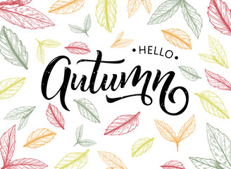Hello autumn hand lettering poster with hand sketched random leaves