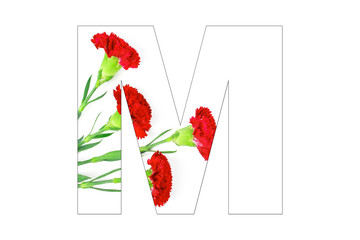 Flower font Alphabet a-z made of Carnation flowers on white background