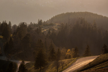 French Mountain Road