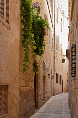 Fototapeta na wymiar Road in Mdina. Malta