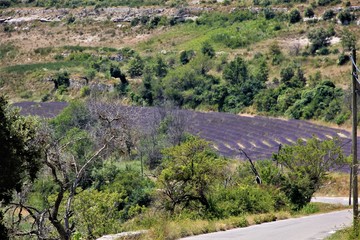 lourmalin provence