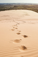 ootsteps in the sand of a endless beach dune landscape like a desert in summer light. Rubjerg Knude Lighthouse, Lønstrup in North Jutland in Denmark, Skagerrak, North Sea